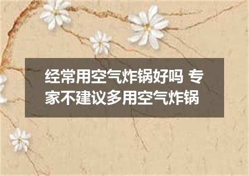 经常用空气炸锅好吗 专家不建议多用空气炸锅