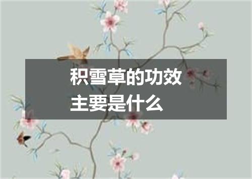 积雪草的功效主要是什么