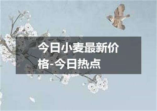 今日小麦最新价格-今日热点