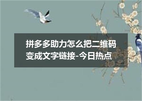 拼多多助力怎么把二维码变成文字链接-今日热点