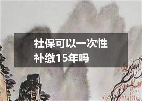 社保可以一次性补缴15年吗