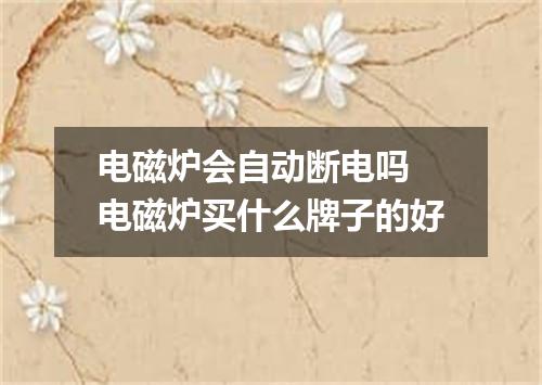 电磁炉会自动断电吗 电磁炉买什么牌子的好