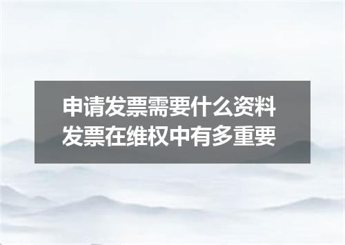 申请发票需要什么资料 发票在维权中有多重要