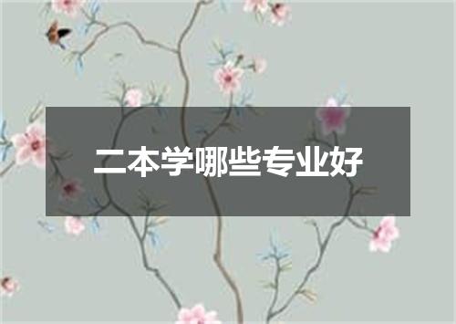 二本学哪些专业好
