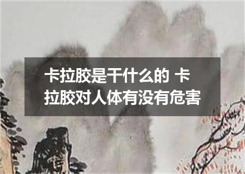 卡拉胶是干什么的 卡拉胶对人体有没有危害