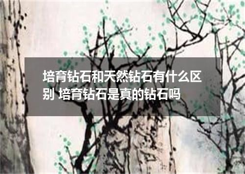 培育钻石和天然钻石有什么区别 培育钻石是真的钻石吗