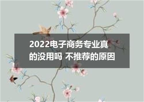 2022电子商务专业真的没用吗 不推荐的原因