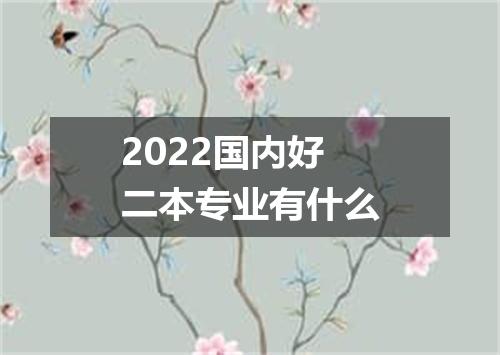 2022国内好二本专业有什么