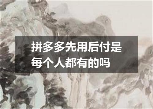 拼多多先用后付是每个人都有的吗