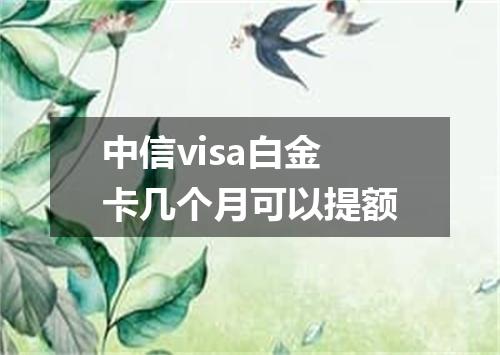 中信visa白金卡几个月可以提额