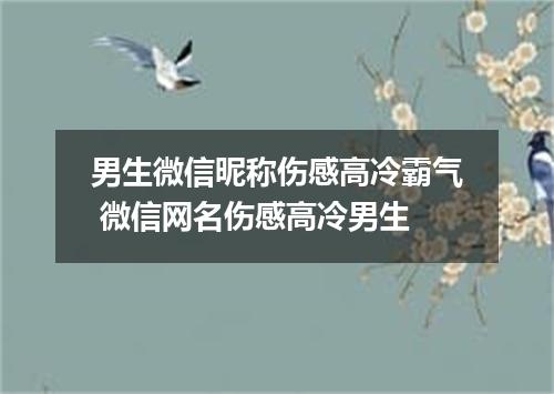 男生微信昵称伤感高冷霸气 微信网名伤感高冷男生