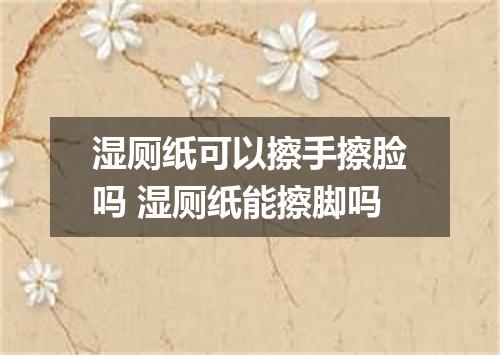湿厕纸可以擦手擦脸吗 湿厕纸能擦脚吗