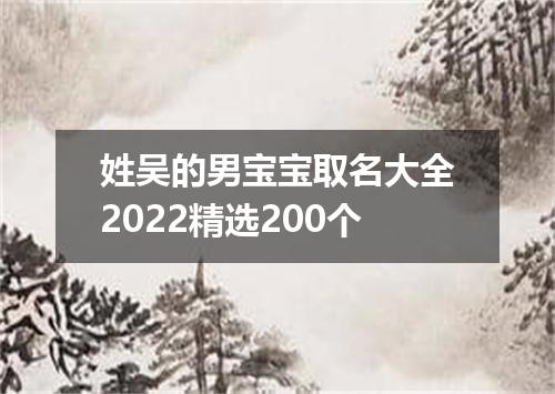姓吴的男宝宝取名大全2022精选200个