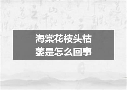 海棠花枝头枯萎是怎么回事