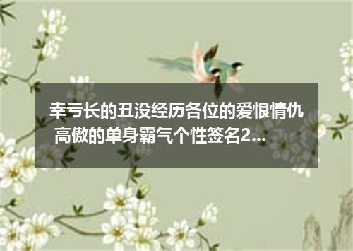 幸亏长的丑没经历各位的爱恨情仇 高傲的单身霸气个性签名2022