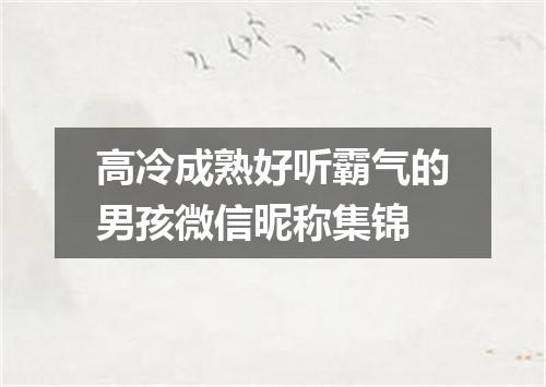 高冷成熟好听霸气的男孩微信昵称集锦
