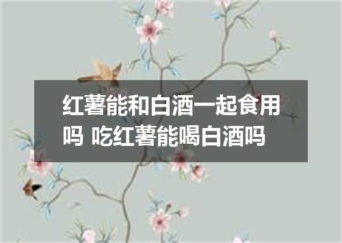 红薯能和白酒一起食用吗 吃红薯能喝白酒吗