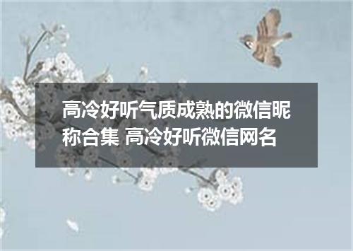高冷好听气质成熟的微信昵称合集 高冷好听微信网名