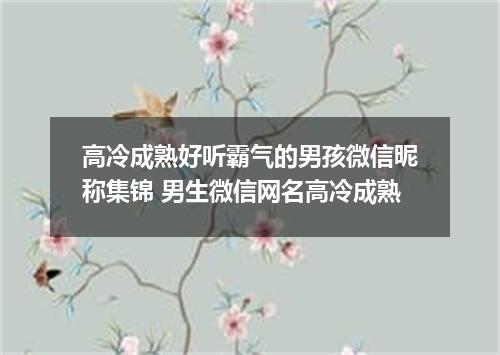 高冷成熟好听霸气的男孩微信昵称集锦 男生微信网名高冷成熟