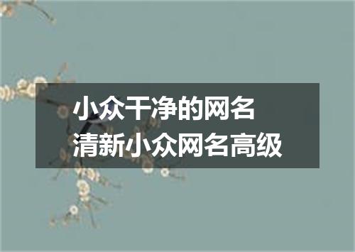 小众干净的网名 清新小众网名高级