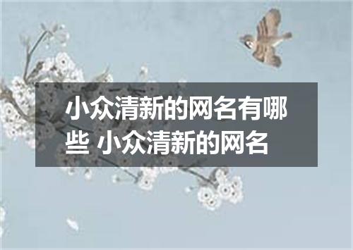 小众清新的网名有哪些 小众清新的网名