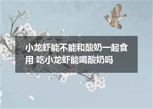 小龙虾能不能和酸奶一起食用 吃小龙虾能喝酸奶吗