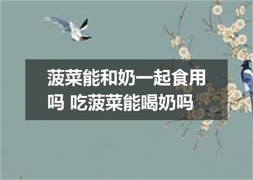 菠菜能和奶一起食用吗 吃菠菜能喝奶吗