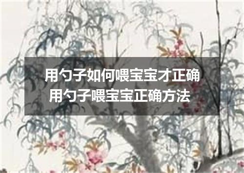 用勺子如何喂宝宝才正确 用勺子喂宝宝正确方法