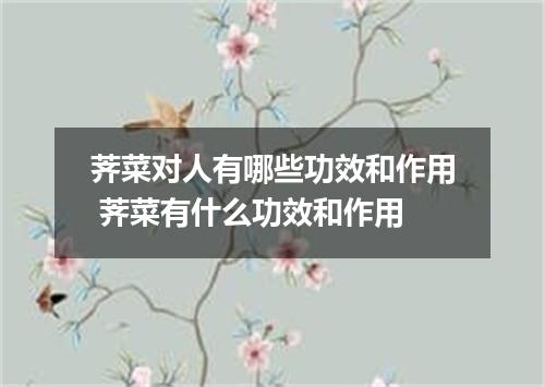 荠菜对人有哪些功效和作用 荠菜有什么功效和作用