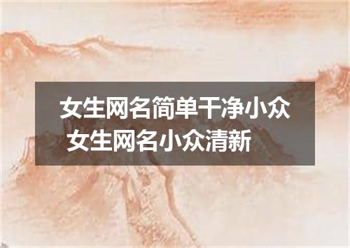 女生网名简单干净小众 女生网名小众清新