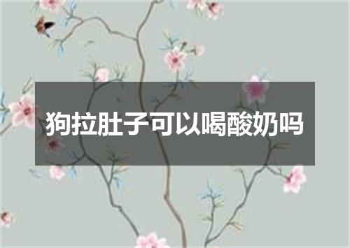 狗拉肚子可以喝酸奶吗
