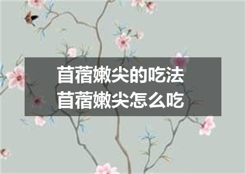 苜蓿嫩尖的吃法 苜蓿嫩尖怎么吃