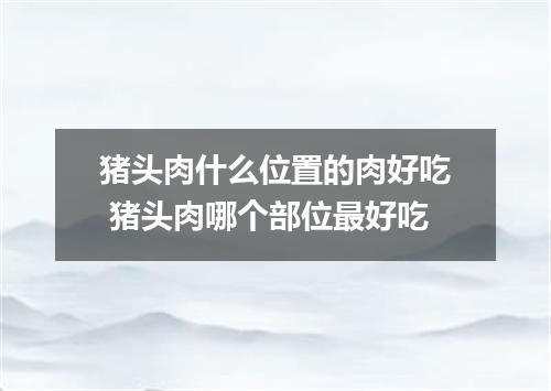 猪头肉什么位置的肉好吃 猪头肉哪个部位最好吃