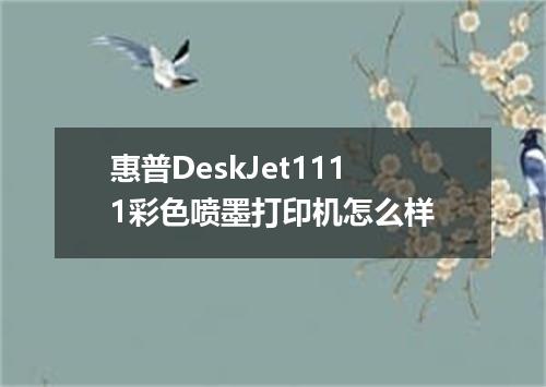 惠普DeskJet1111彩色喷墨打印机怎么样