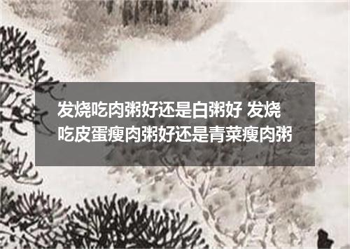 发烧吃肉粥好还是白粥好 发烧吃皮蛋瘦肉粥好还是青菜瘦肉粥