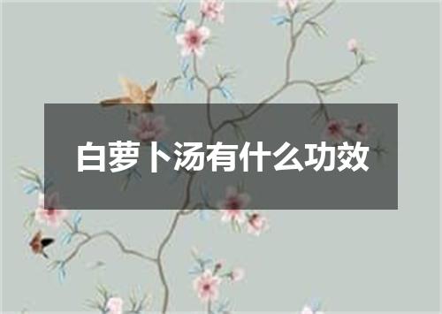 白萝卜汤有什么功效