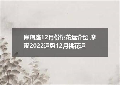 摩羯座12月份桃花运介绍 摩羯2022运势12月桃花运