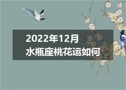 2022年12月水瓶座桃花运如何
