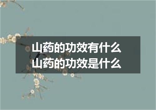山药的功效有什么 山药的功效是什么