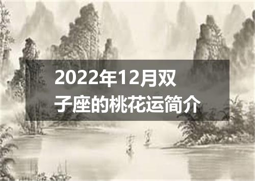 2022年12月双子座的桃花运简介