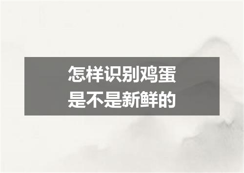 怎样识别鸡蛋是不是新鲜的