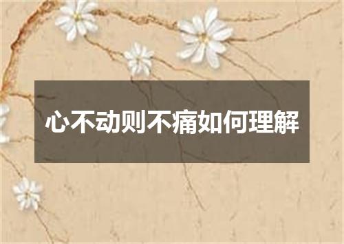 心不动则不痛如何理解