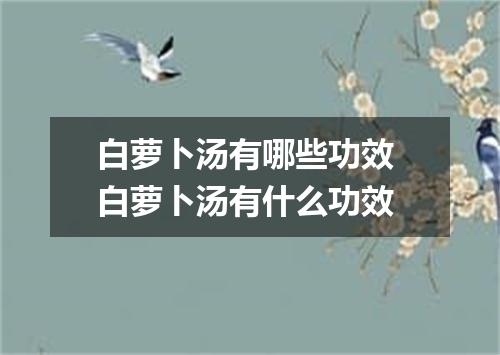 白萝卜汤有哪些功效 白萝卜汤有什么功效