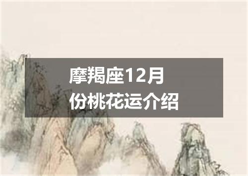摩羯座12月份桃花运介绍