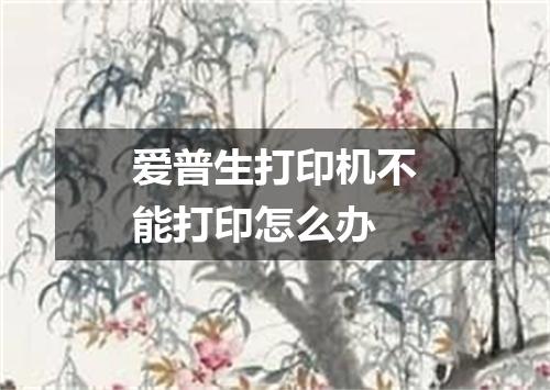 爱普生打印机不能打印怎么办