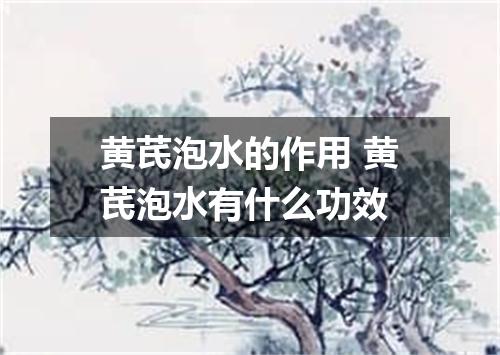 黄芪泡水的作用 黄芪泡水有什么功效