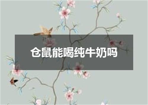 仓鼠能喝纯牛奶吗