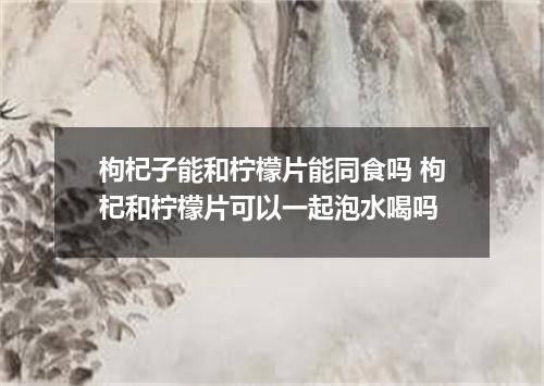 枸杞子能和柠檬片能同食吗 枸杞和柠檬片可以一起泡水喝吗