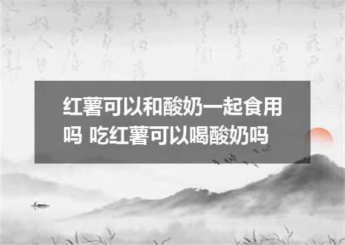 红薯可以和酸奶一起食用吗 吃红薯可以喝酸奶吗