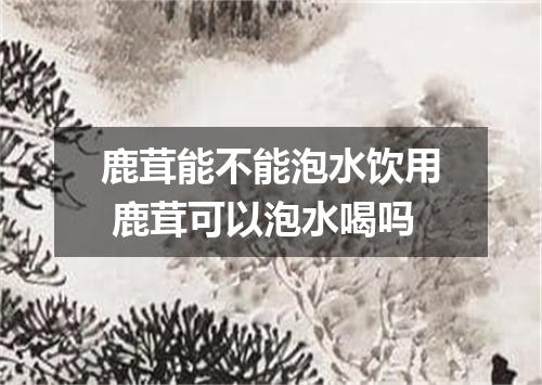 鹿茸能不能泡水饮用 鹿茸可以泡水喝吗